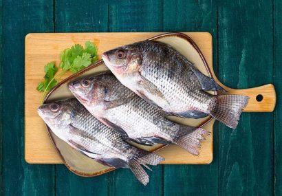 اثر تولید ماهی تیلاپیا در سبد مصرفی خانوار چیست؟