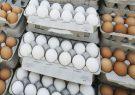 صادرات تخم‌مرغ صفر شده است