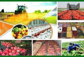 نمایشگاه عرضه مستقیم محصولات کشاورزی برگزار می‌شود