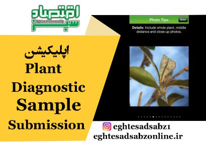 اپلیکیشن Plant Diagnostic Sample Submission