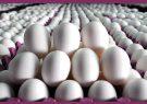 فروش تخم‌مرغ فله‌ای به قیمت ۴۵ هزار تومان
