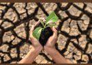 خشکسالی یا سوء مدیریت‌؛ کدامیک منابع آبی ‌کشاورزی را خشکاند‌؟