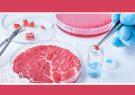 تولید گوشت با سلول‌های حیوانی