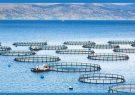 پرورش ۴۰۰ هزار تن ماهی داخل قفس تا افق ۱۴۰۴