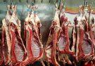 استمرار واردات گوشت بازار را متعادل می کند