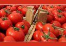 عوارض صادرات گوجه‌فرنگی نیم درصد شد