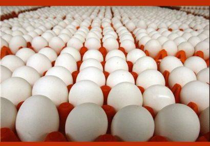 ریزش قیمت تخم‌مرغ در آمریکا مشروط شد