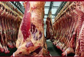 قیمت انواع گوشت تازه گوسفندی داخلی و گوساله + نرخنامه