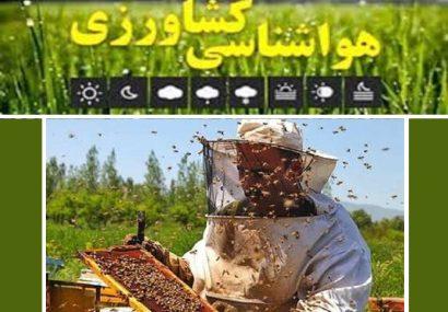 هشدار وزش باد و بارش باران به کشاورزان و زنبورداران