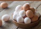 افزایش ۱۳ درصدی قیمت تخم‌مرغ و مرغ در امارات