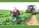 چالش‌های کشاورزی ارگانیک