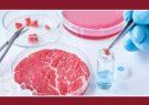 گوشت آنالوگ به عنوان جایگزین پروتئین‌های حیوانی تولید شد