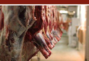 عرضه گوشت قرمز در کشتارگاه‌ها در بهمن ۱۴۰۱ به ٣٩ هزار تن رسید