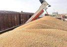نیازی به واردات گندم برای تامین نان نداریم
