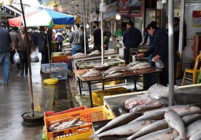 مصرف ماهی ۵۰ درصد کاهش پیدا کرد