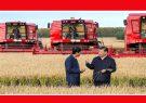 چین بزرگترین یارانه دهنده کشاورزی در جهان