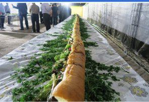 ثبت رکورد بزرگترین «ساندویچ ماهی» ایران در اهواز