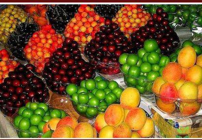 میوه‌های نوبرانه در میادین ارزان‌تر از سطح شهر است