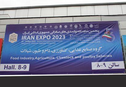 گزارش تصویری پنجمین نمایشگاه توانمندی‌های صادراتی جمهوری اسلامی ایران IRAN EXPO 2023 (گروه صنایع غذایی، کشاورزی، دام و طیور، شیلات)
