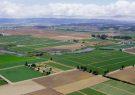 ۷۰ درصد اراضی کشاورزی کشور زیر ۵ هکتار است