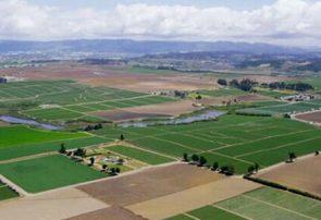 ۷۰ درصد اراضی کشاورزی کشور زیر ۵ هکتار است