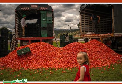 جشنواره مبارزه با گوجه فرنگی در کلمبیا