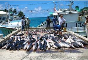 سیاست‌های جدید در توسعه بنادر ماهیگیری