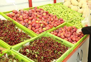 میوه در میادین و بازارهای میوه و تره بار 35درصد ارزان‌تر از سطح شهر است