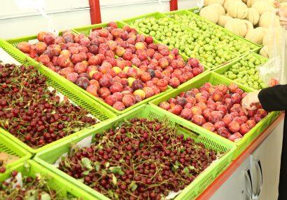 میوه در میادین و بازارهای میوه و تره بار 35درصد ارزان‌تر از سطح شهر است