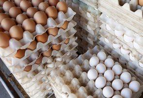 تخم‌مرغ کماکان کمتر از نرخ مصوب عرضه می‌شود
