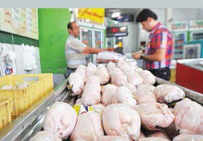 روزانه 1300 تن گوشت مرغ در پایتخت توزیع و مصرف می‌شود