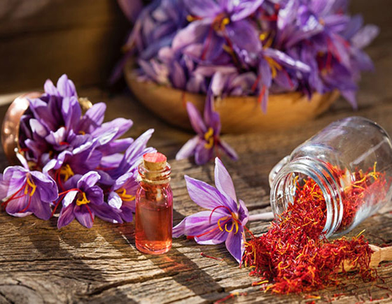 توسعه صنایع تبدیلی راهی برای کمک به جایگاه زعفران ایرانی در دنیا | پایگاه خبری اقتصاد سبز آنلاین
