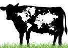 رصد تولید جهانی دام توسط وزارت کشاورزی ایالات متحده (USDA)
