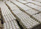 صادرات تخم مرغ به ۱۱۲ هزار تن رسید