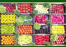 ترویج و تسهیل صادرات 20 محصول کشاورزی توسط پارلمان اروپا
