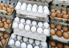 صادرات تخم مرغ دو برابر افزایش یافت