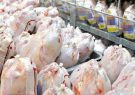 مازاد ماهانه بیش از ۳۰ هزار تن مرغ بر نیاز کشور