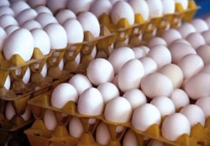 صادرات بیش از ۱۳۶ هزار تن تخم مرغ در سال گذشته