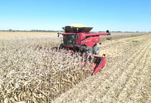 ماشین برداشت محصولات دانه‌دار کشاورزی با نام AF11 معرفی شد