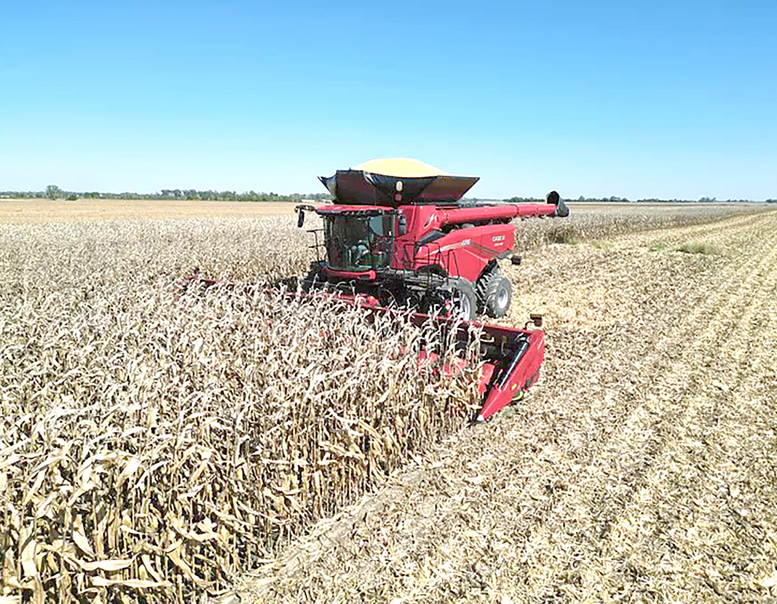 ماشین برداشت محصولات دانه دار کشاورزی با نام AF11 معرفی شد