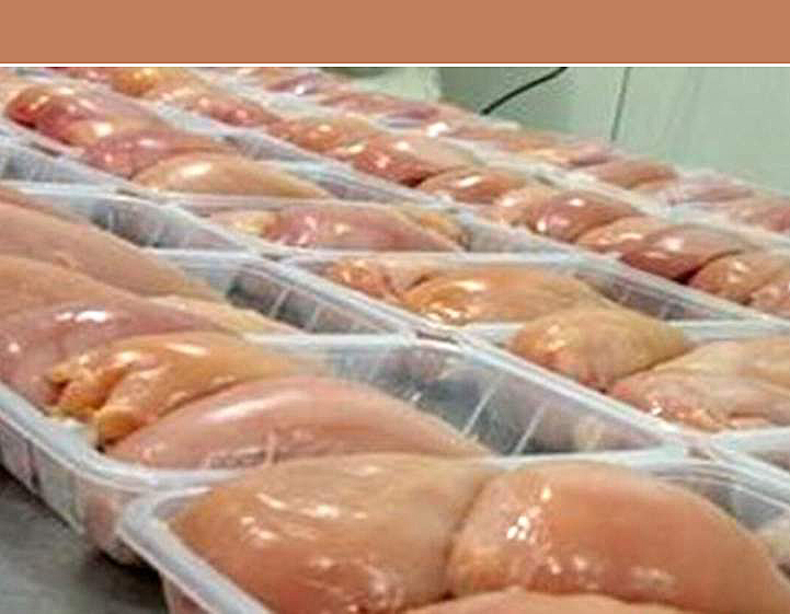 صادرات مرغ از سرگرفته شد