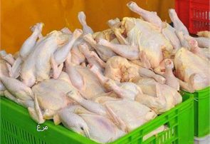 ۷۰ هزار تن از تولید گوشت مرغ مازاد بر نیاز کشور است
