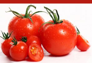 حداکثر اختلاف قیمت گوجه‌فرنگی از میدان تا خرده‌فروشی ۳۵ درصد است