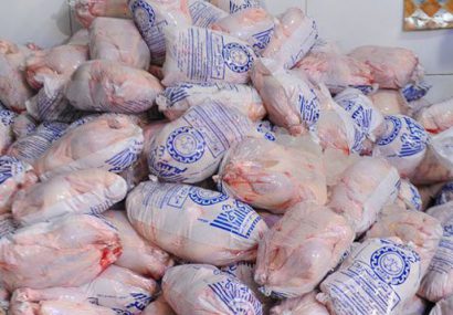 ضرورت جمع‌آوری ماهانه ۲۰ هزارتن مرغ از سطح بازار