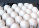 قیمت تخم‌مرغ پوسته سفید کاهش یافت