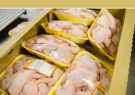 صادرات مرغ با هدف تعادل بازار و ایجاد درآمد ارزی