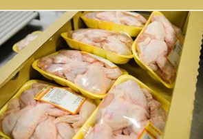 صادرات مرغ با هدف تعادل بازار و ایجاد درآمد ارزی