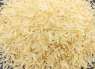 برنج هندی عقب‌نشینی کرد