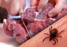 هشدار شیوع تب کریمه کنگو در فصل گرما/ افراد از خرید گوشت غیرمجاز خودداری کنند