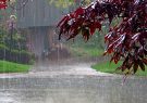 افت ۱۶ درصدی بارش‌های امسال نسبت به سال‌های نرمال